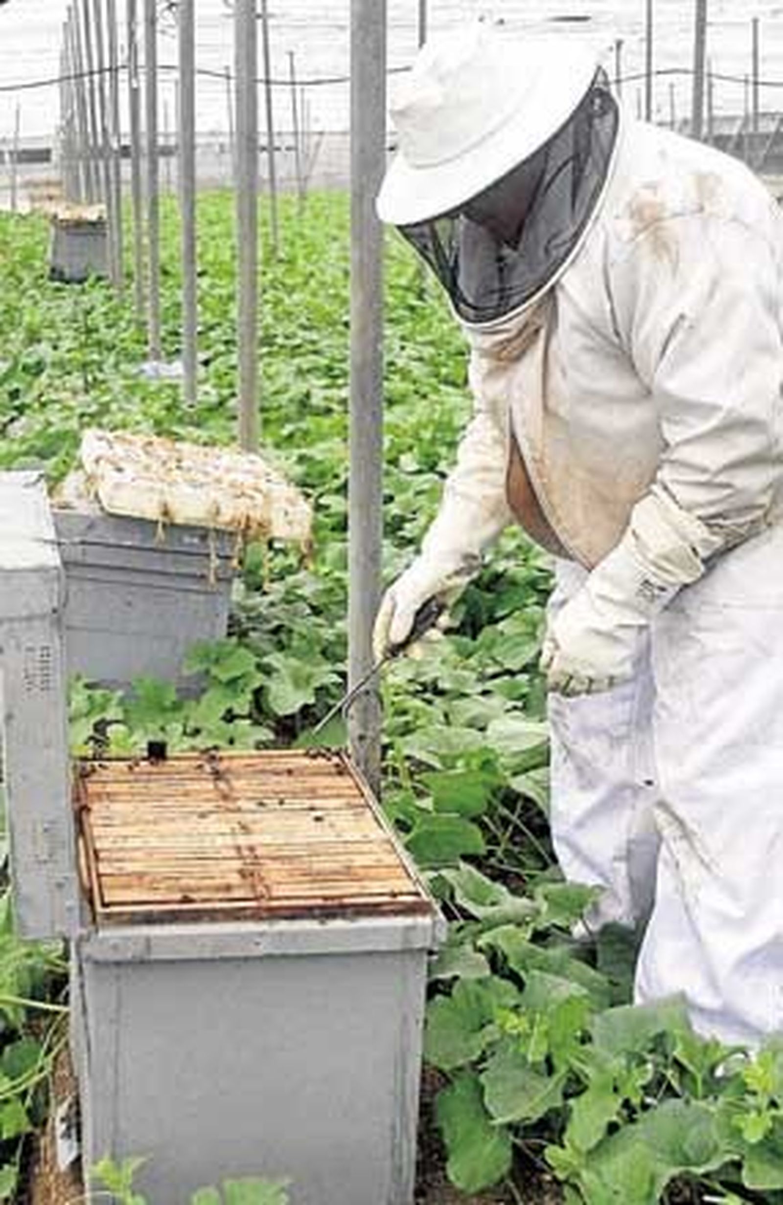 The Diputation proves that the team's trump card is the sector unio