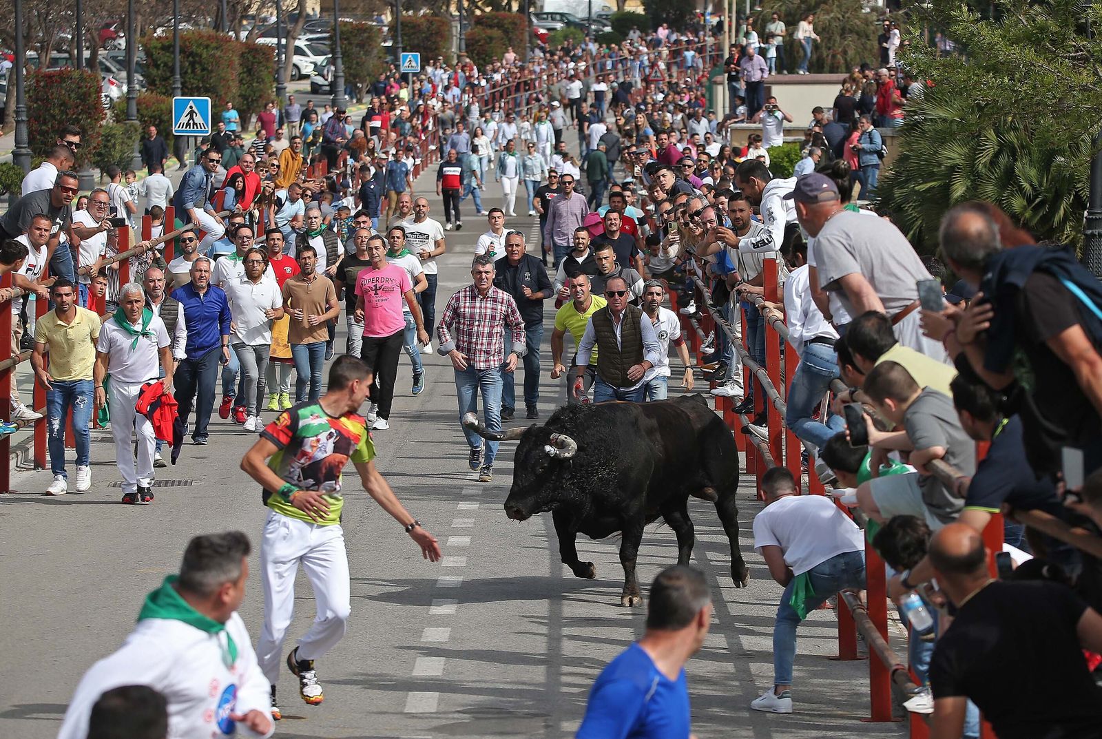 Fotos del Toro Embolao en Los Barrios