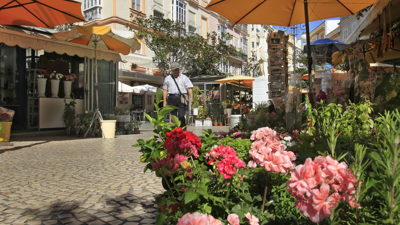 La plaza de las Flores.