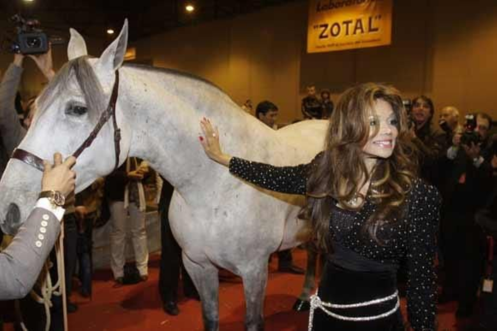 La hermana de Michael Jackson ha compartido espacio en el Sicab con otros famosos del panorama nacional tales como Cayetana de Alba o Juan Antonio Ruiz 'Espartaco'

Foto: Jose Angel Garcia