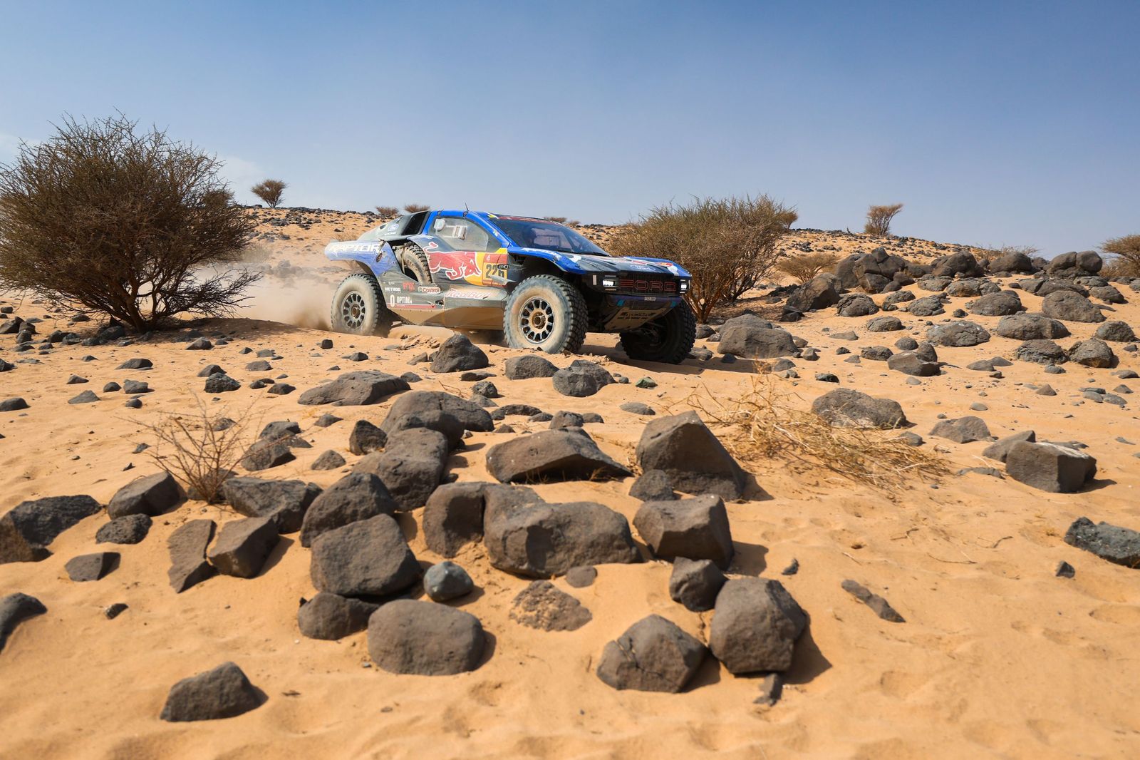 Las mejores fotos del Rally Dakar | undécima etapa