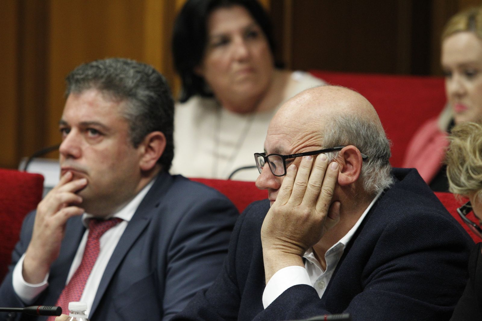 Fotogalería Pleno Ordinario Diputación de Almería