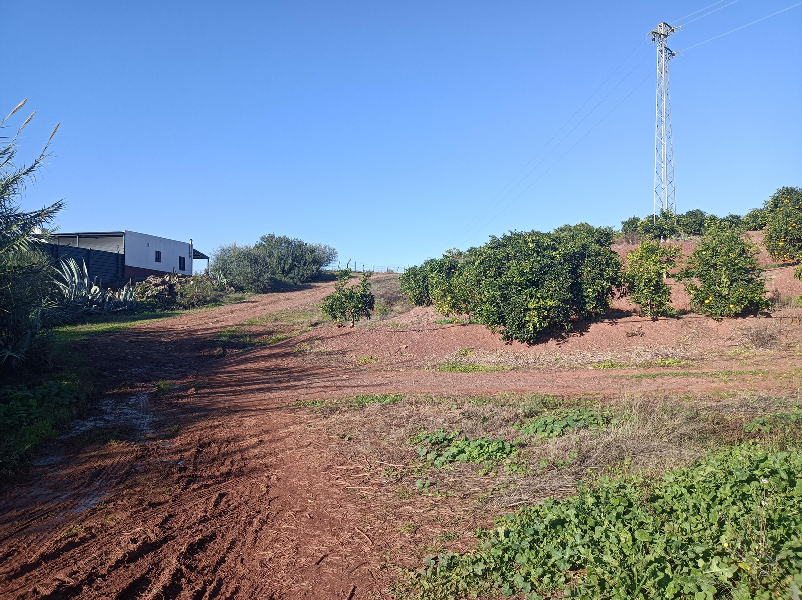 Vamos junto al perímetro exterior de la finca. Vamos junto al perímetro exterior de la finca.