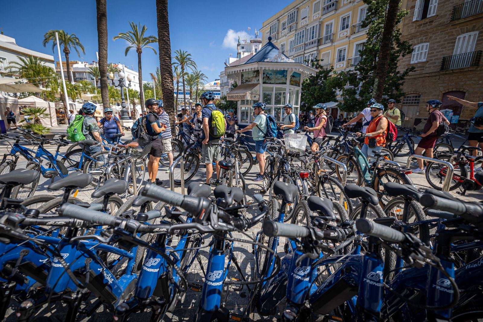 Los turistas que han llegado a Cádiz en los cinco cruceros