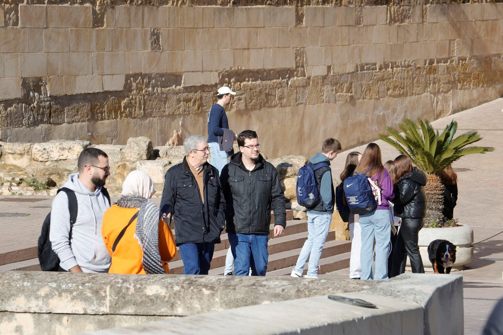 Córdoba vive una semana de calor primaveral en enero, en imagenes