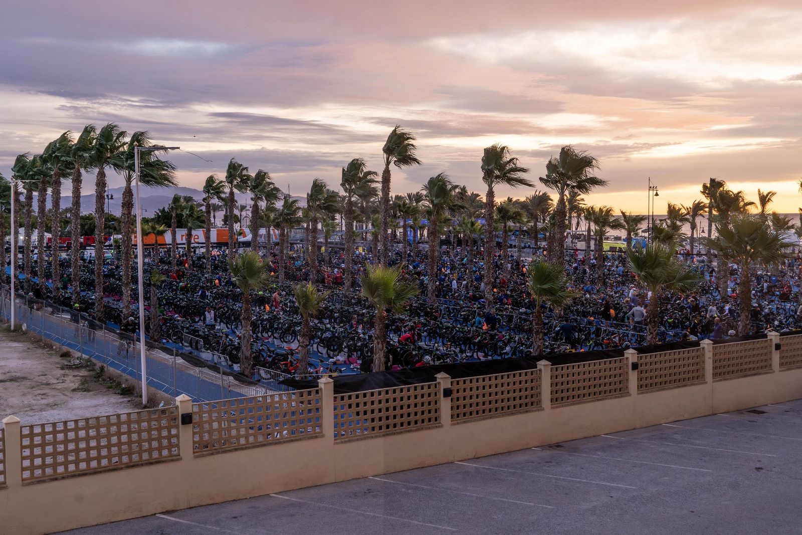 Series Mundiales de triatlón: Cassandre Beaugrand, nueva reina mundial