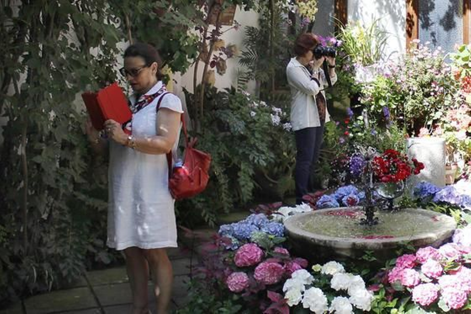 La Palma 3.

Foto: Alex Gallegos / Macarena Gassin