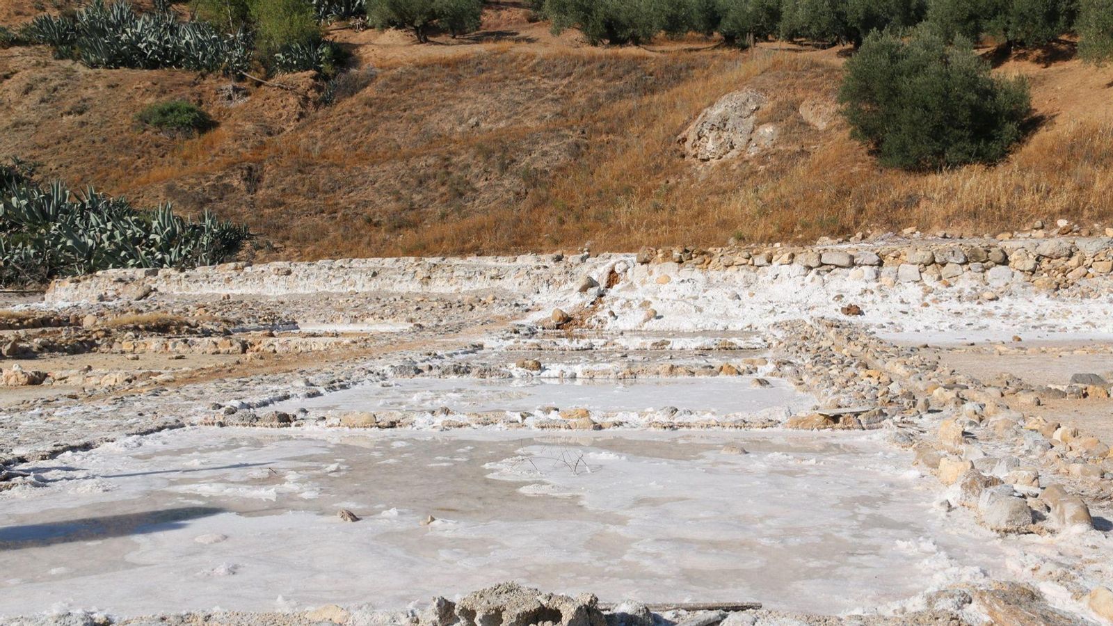 Aspecto que presentan las salinas tosirianas.
