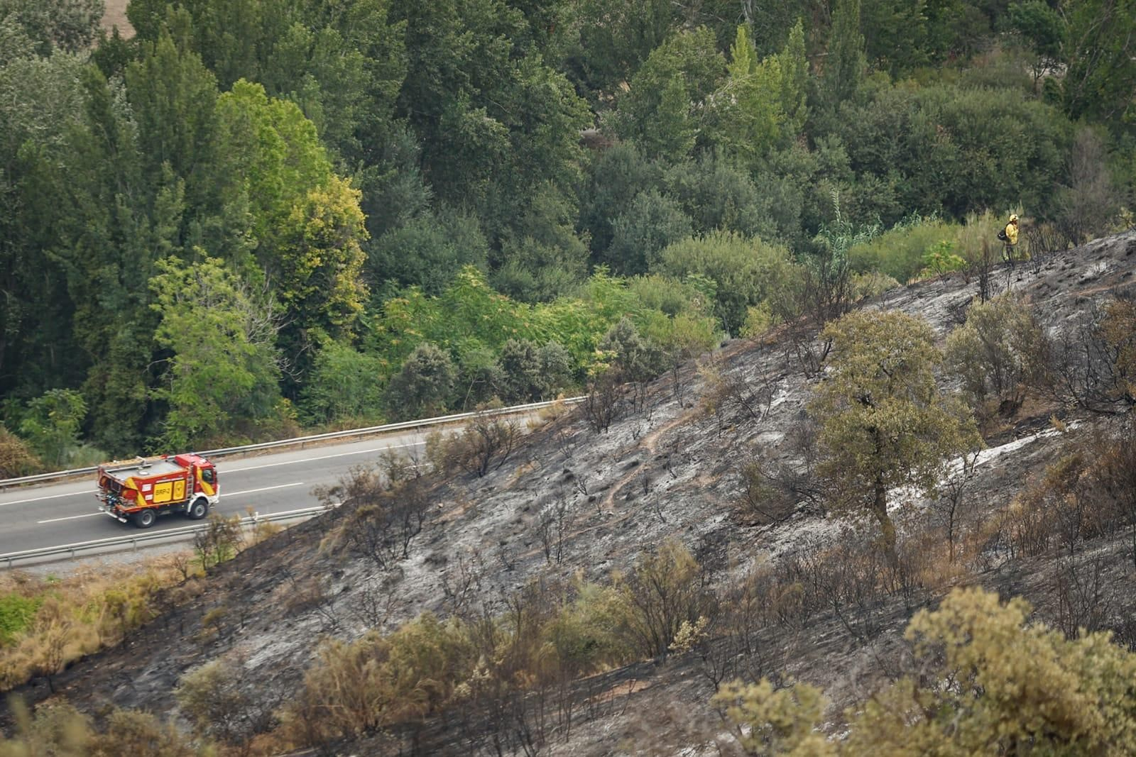 Las imágenes de la Fuente de la Bicha de Granada tras las llamas