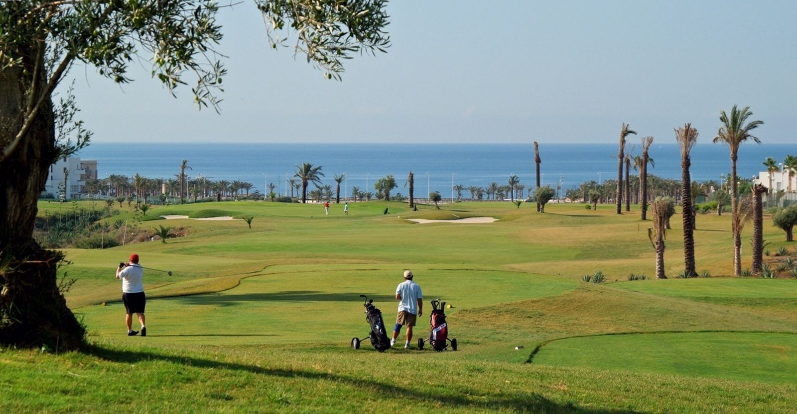 Campo de golf de El Toyo.