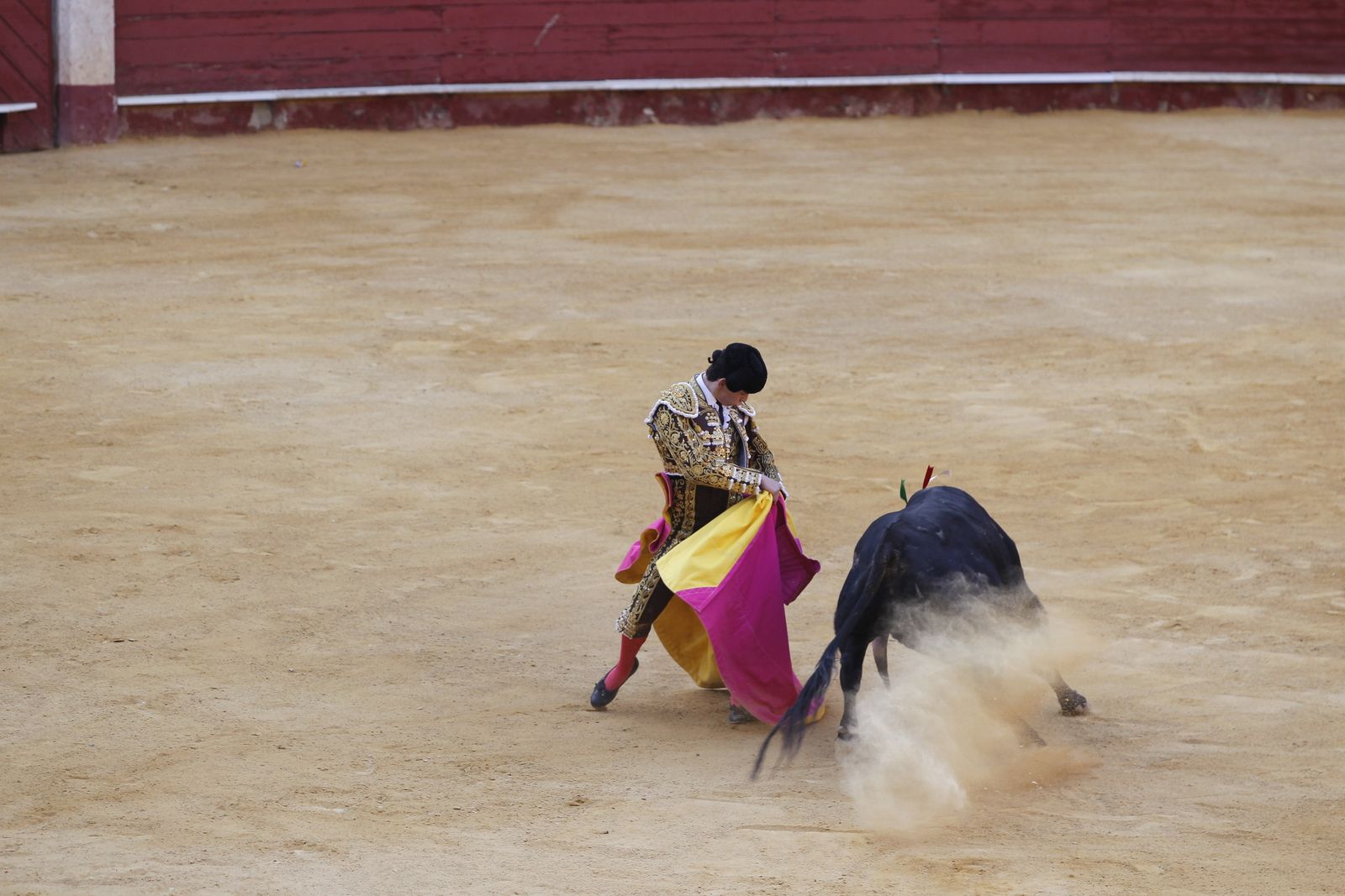 Fotogalería novillada Escuela Taurina de Almería. Feria de Almería 2019