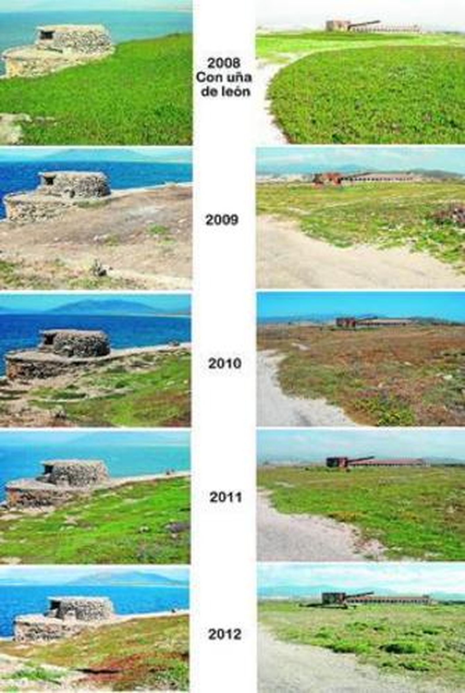 Imagen de la evolución de las labores para erradicar la uña de león en la Isla, entre 2008 y 2012.