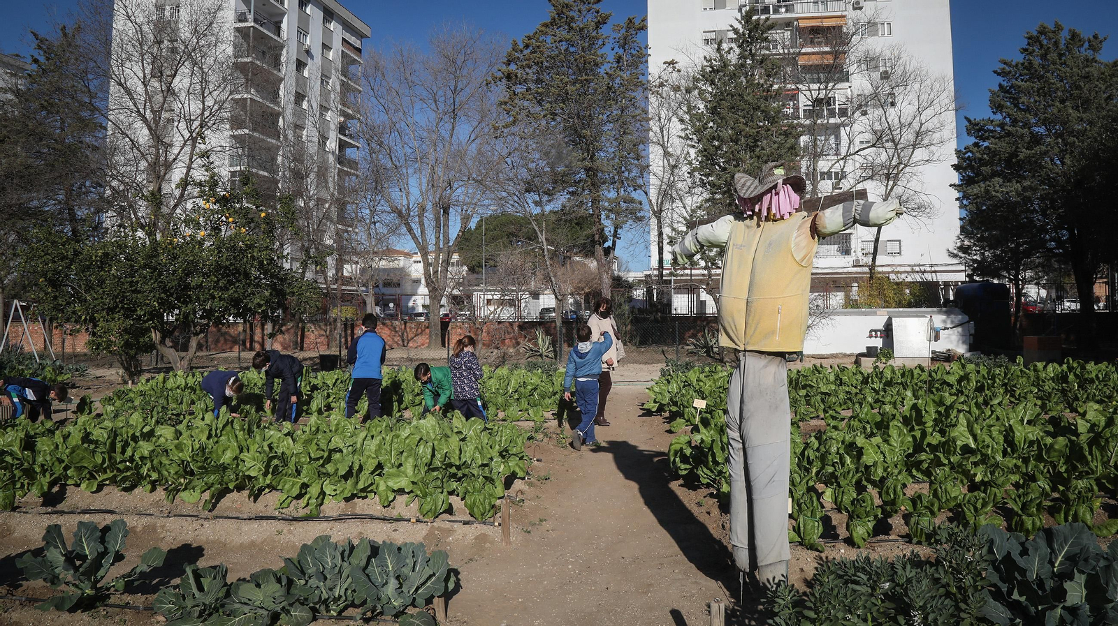 Huerto ecológico y educativo en Los Marianistas