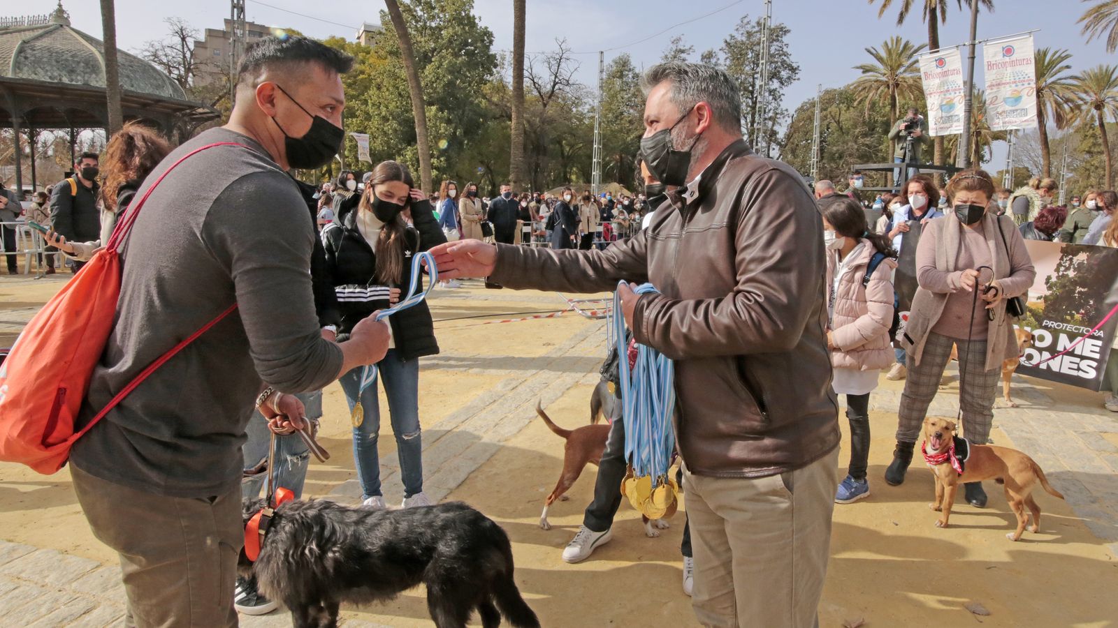 Imágenes de la 'Fiesta de San Antón 2022'