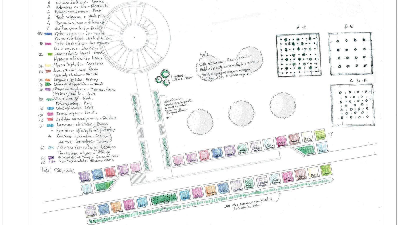 Croquis de plantaciones de Pepe Elías.