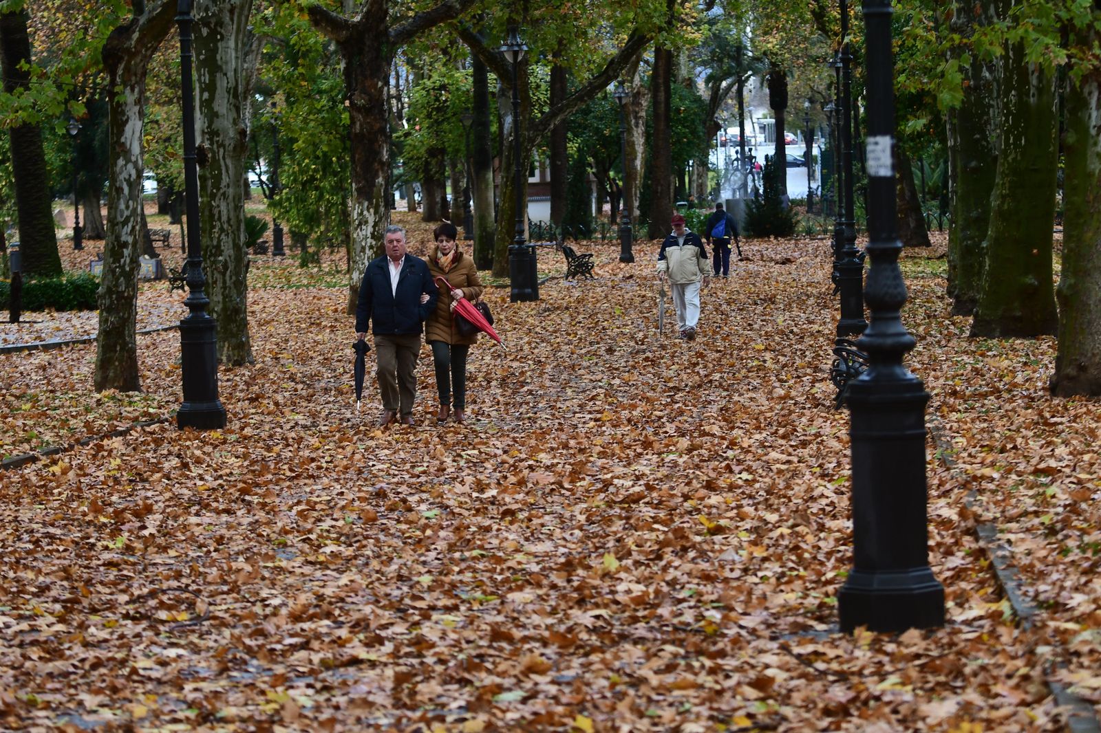 El rastro del otoño en Córdoba