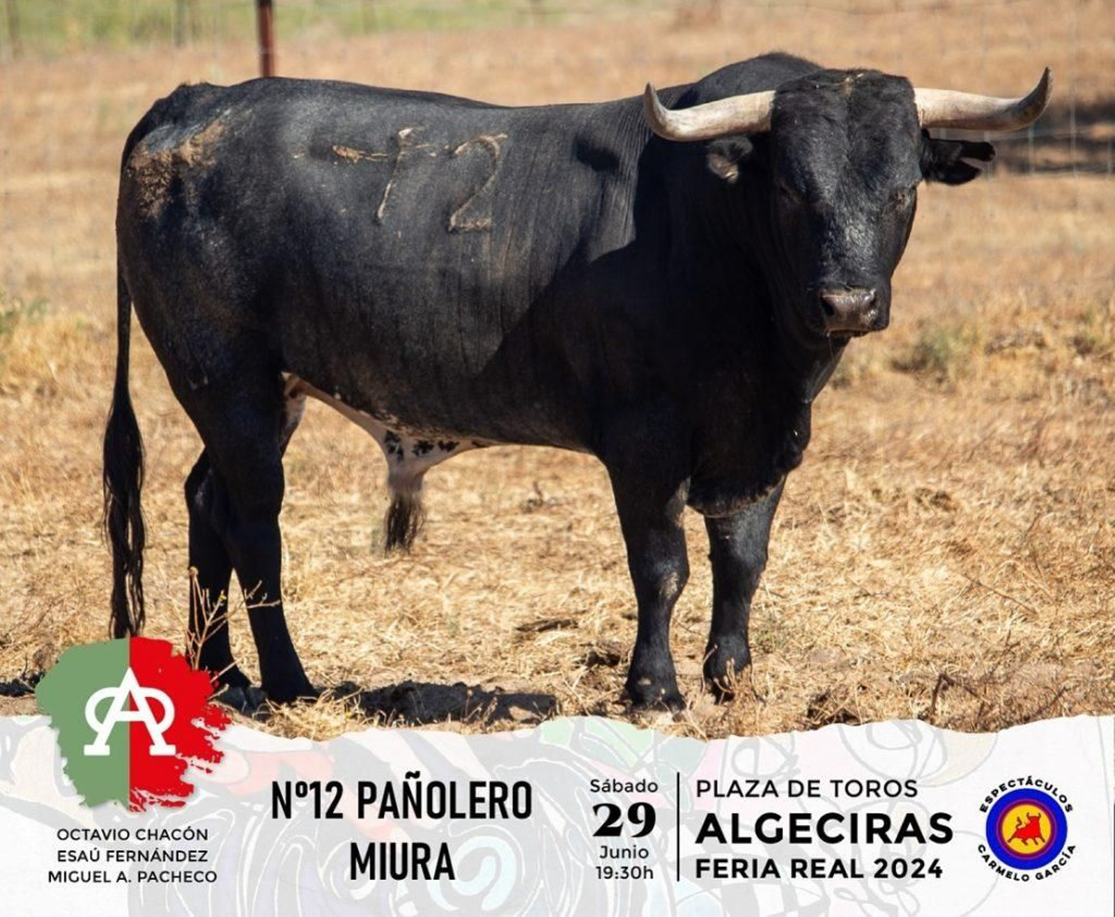 Pañolero, nº 12 (Miura).