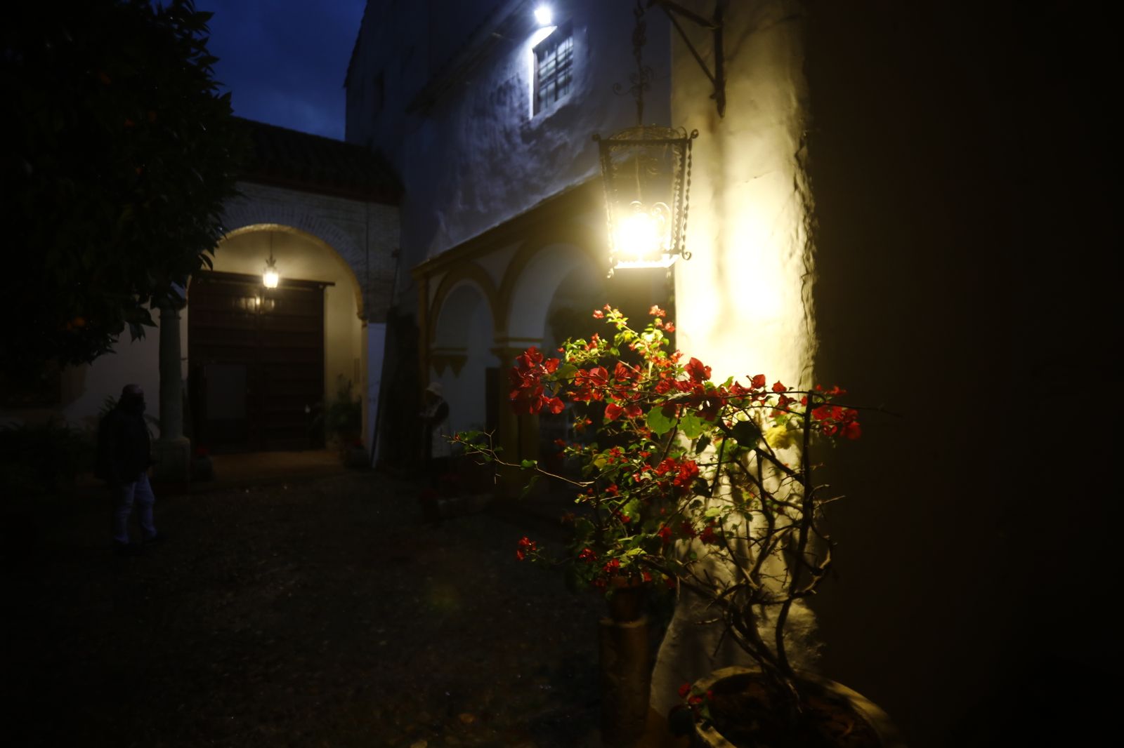 Los Patios de Córdoba abren por Navidad, en imágenes