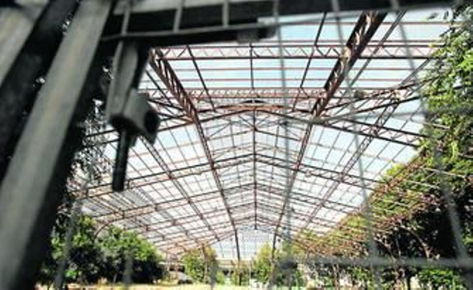 Imagen del estado actual de la estructura metálica de la Nave del Paraguas, que tiene un grado D de protección.