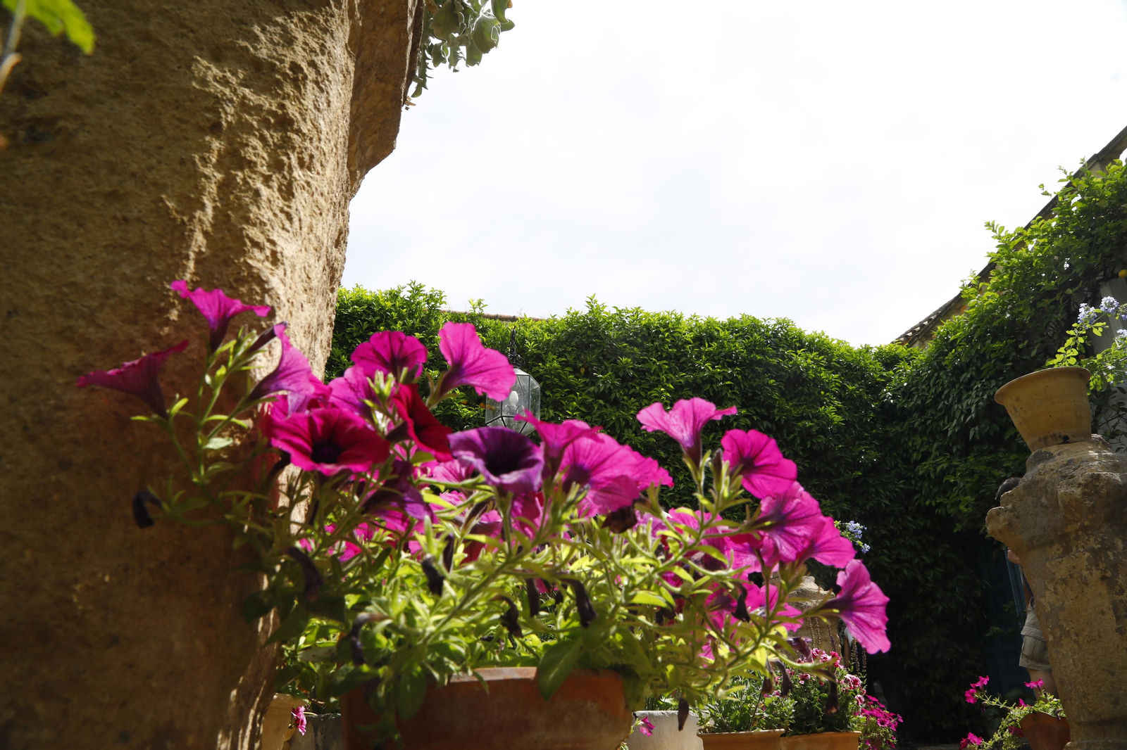 La jornada de puertas abiertas en el Palacio de Viana de Cordoba, en imágenes