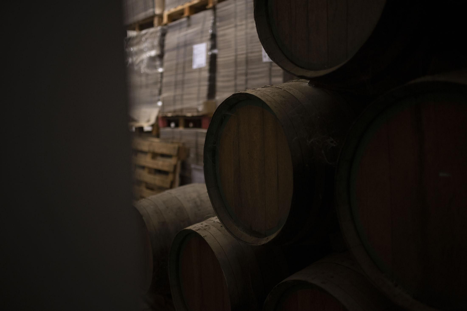 Imágenes de la vendimia en el Condado de Huelva