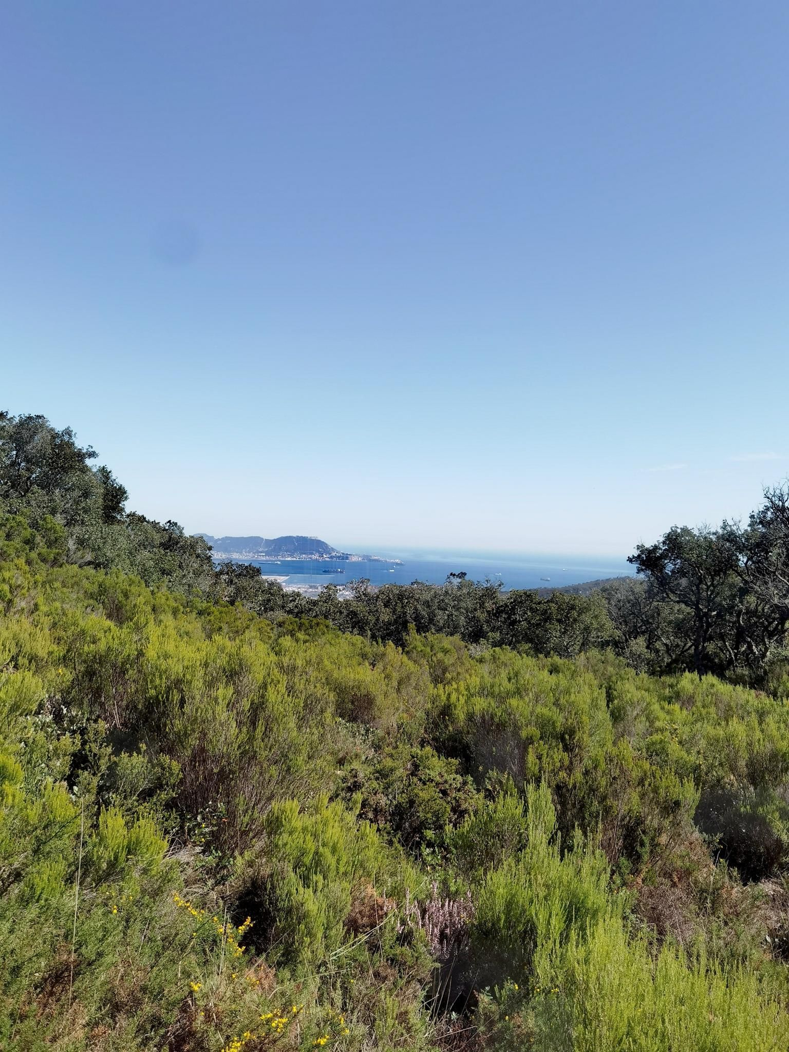 Gibraltar desde las Esclarecidas Gibraltar desde las Esclarecidas