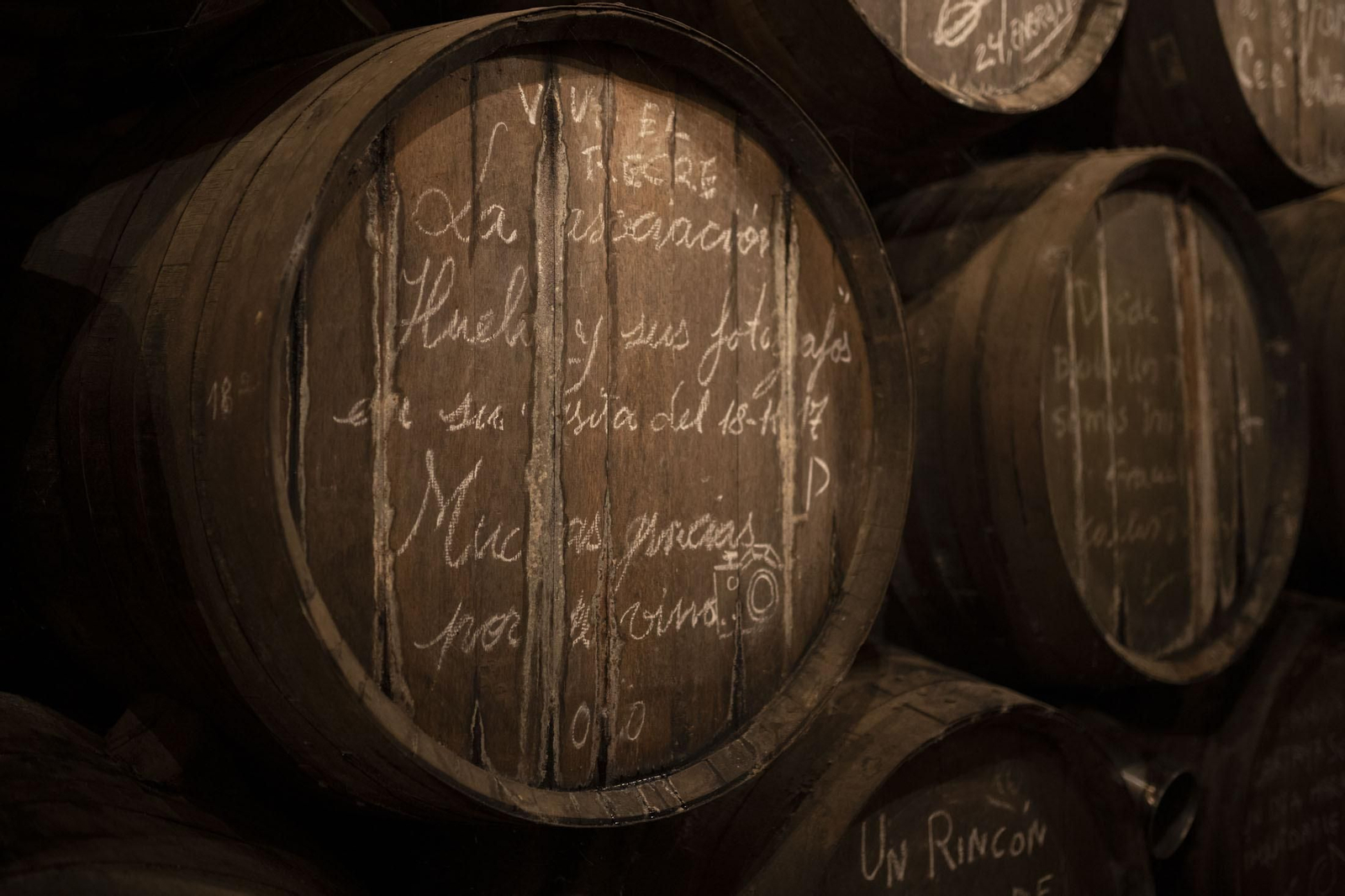 Imágenes de la vendimia en el Condado de Huelva