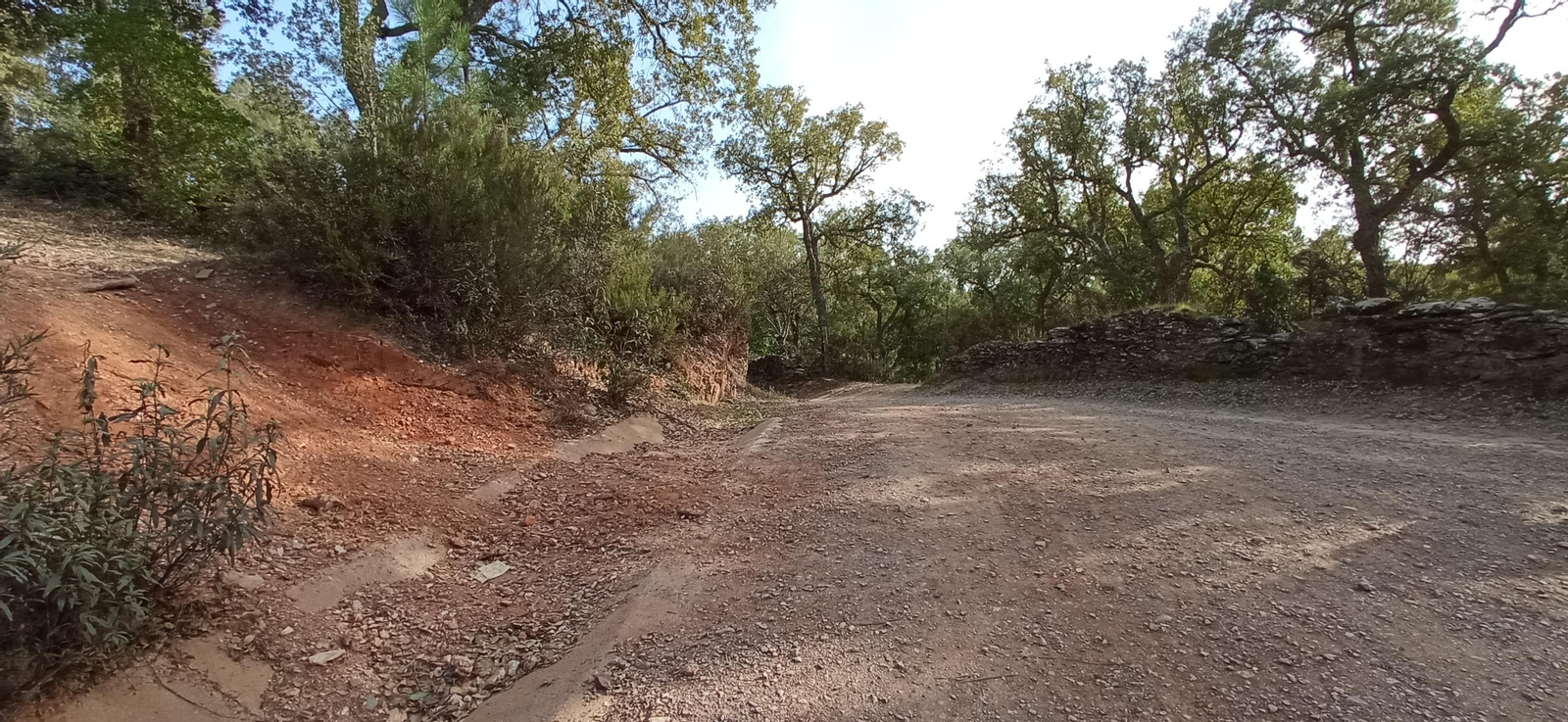 Las imágenes de la ruta de la Dehesa de Valdelama: De Los Marines a Fuenteheridos y vuelta