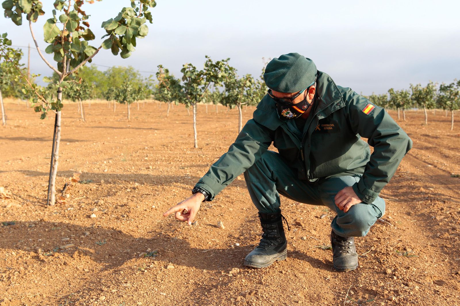 Así busca el Seprona de Granada a la pantera o el gato grande de Ventas de Huelma