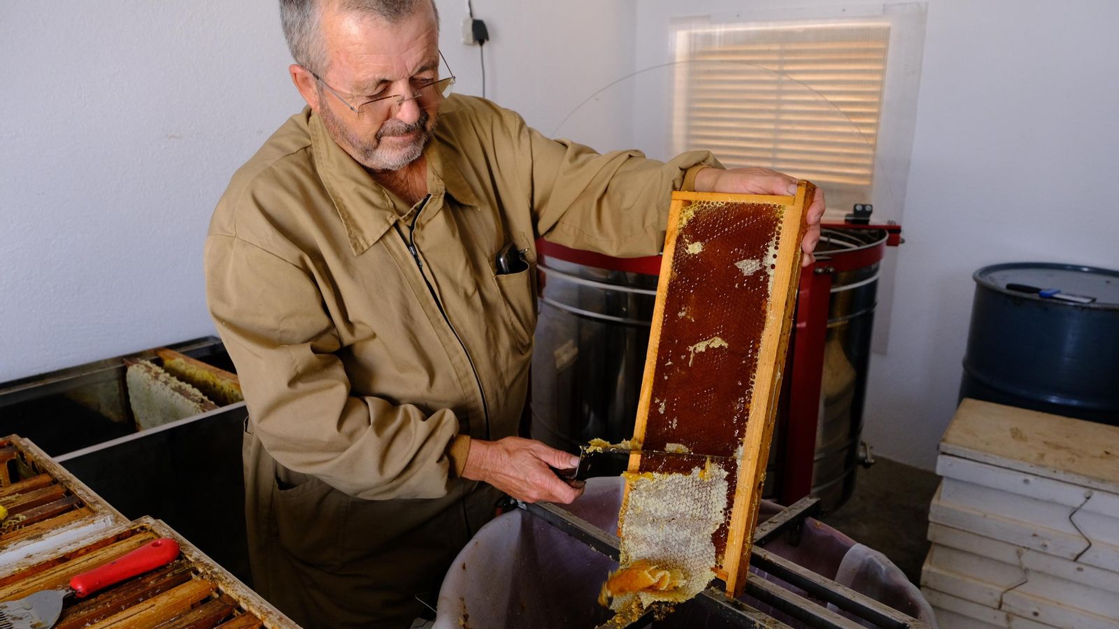 Juan Alférez separa el sello de la miel del panal.