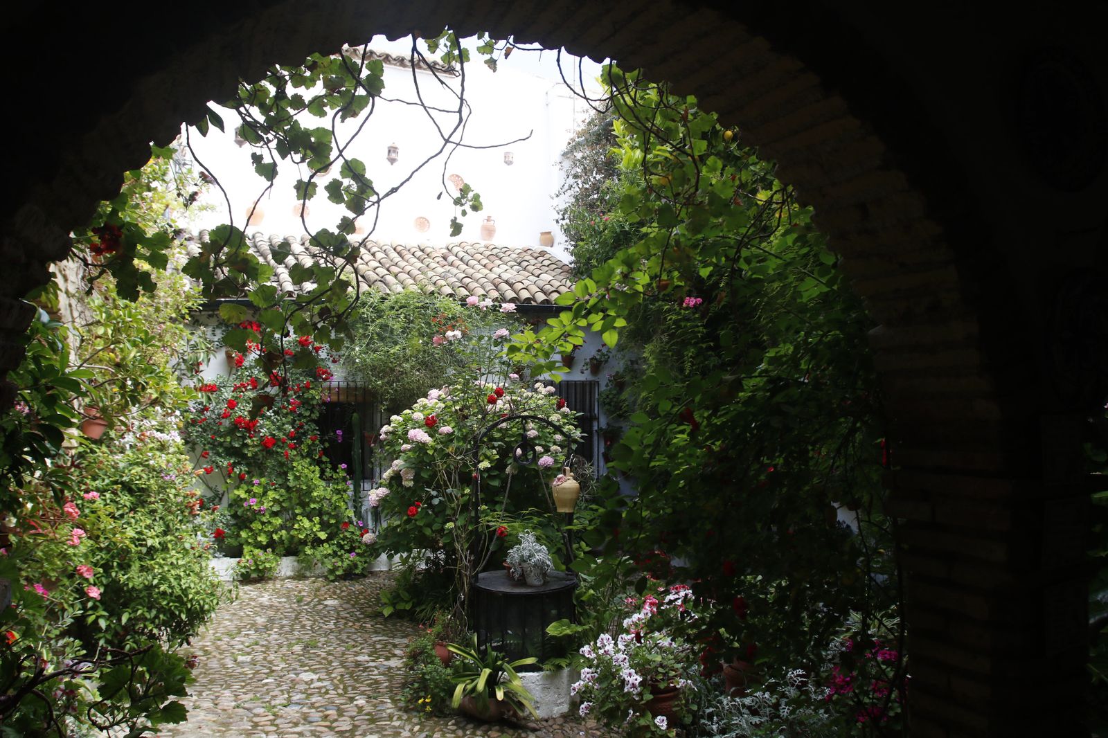 Los Patios de Córdoba en tiempos de crisis: Parras, 6