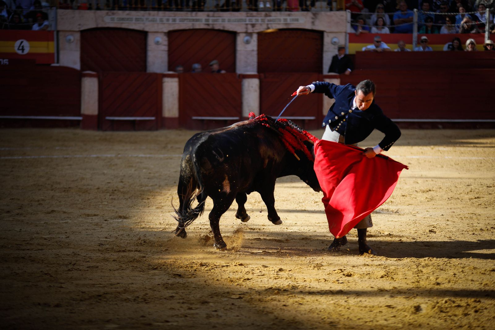 Imágenes del festival mixto lucha contra el cáncer