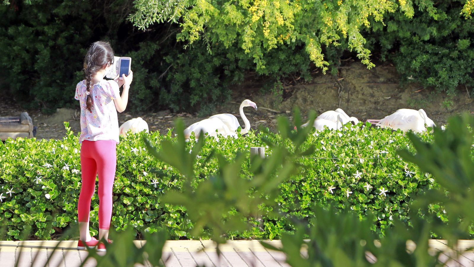 Reapertura del Zoo de Jerez