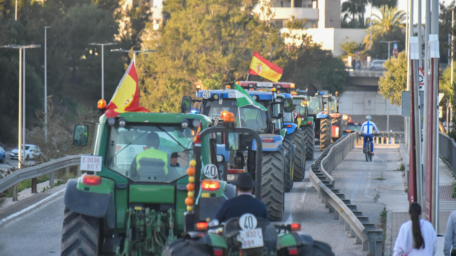 La tractorada del sector primario en Algeciras, en imágenes