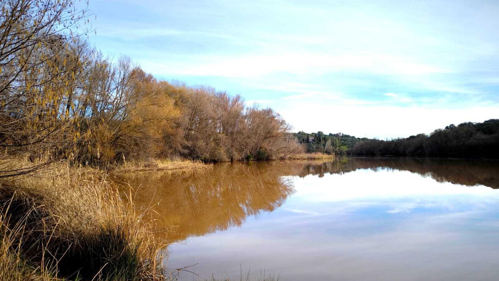 El Rumblar, toda agua con cieno.