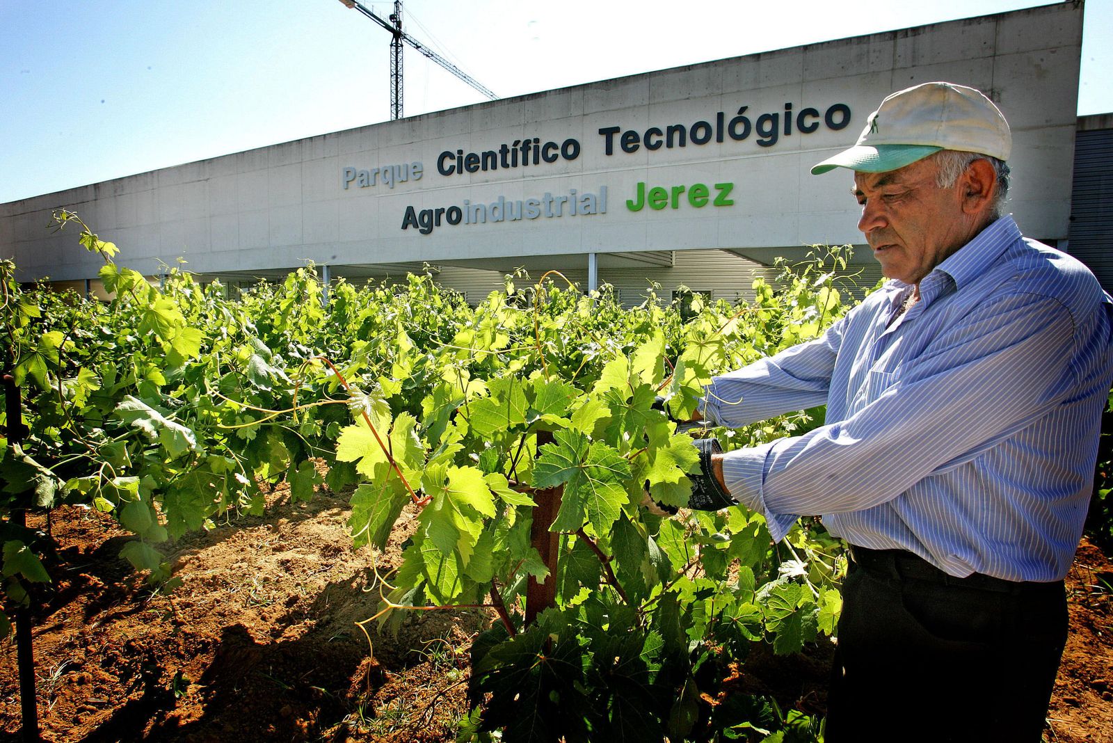 Parcela del Parque Científico Tecnológico Agroindustrial de Jerez.