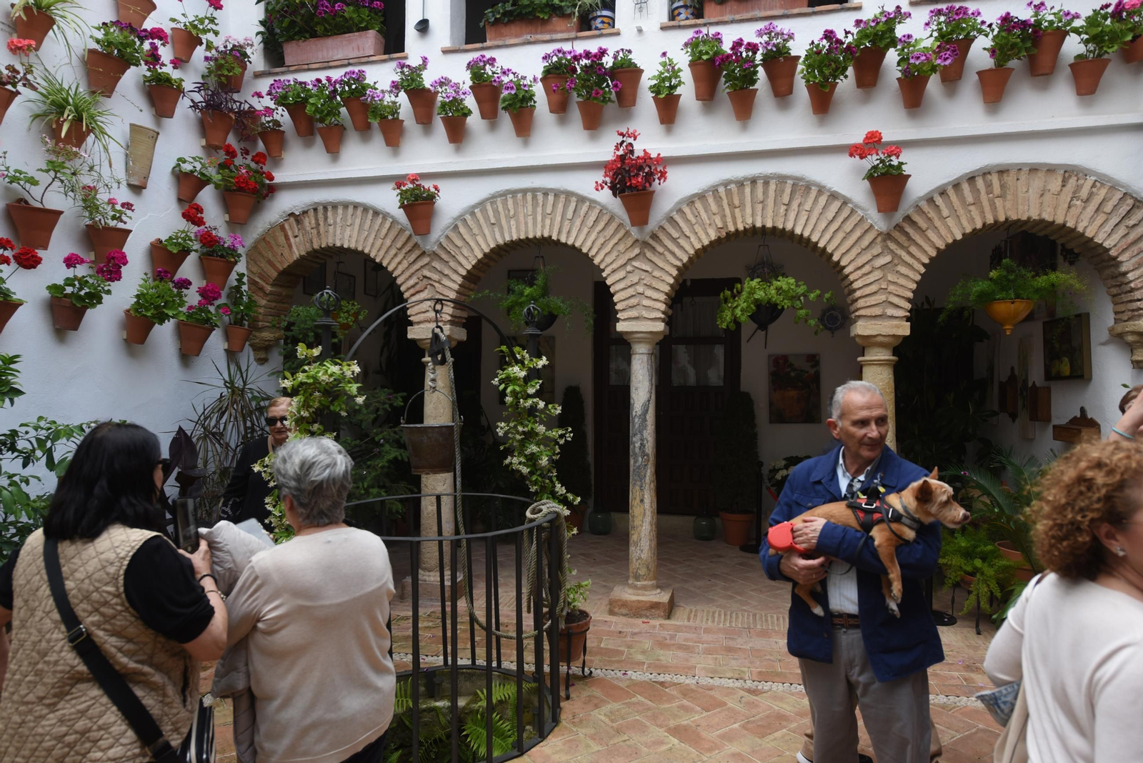 Una ruta en imágenes por los patios de la Judería y San Francisco