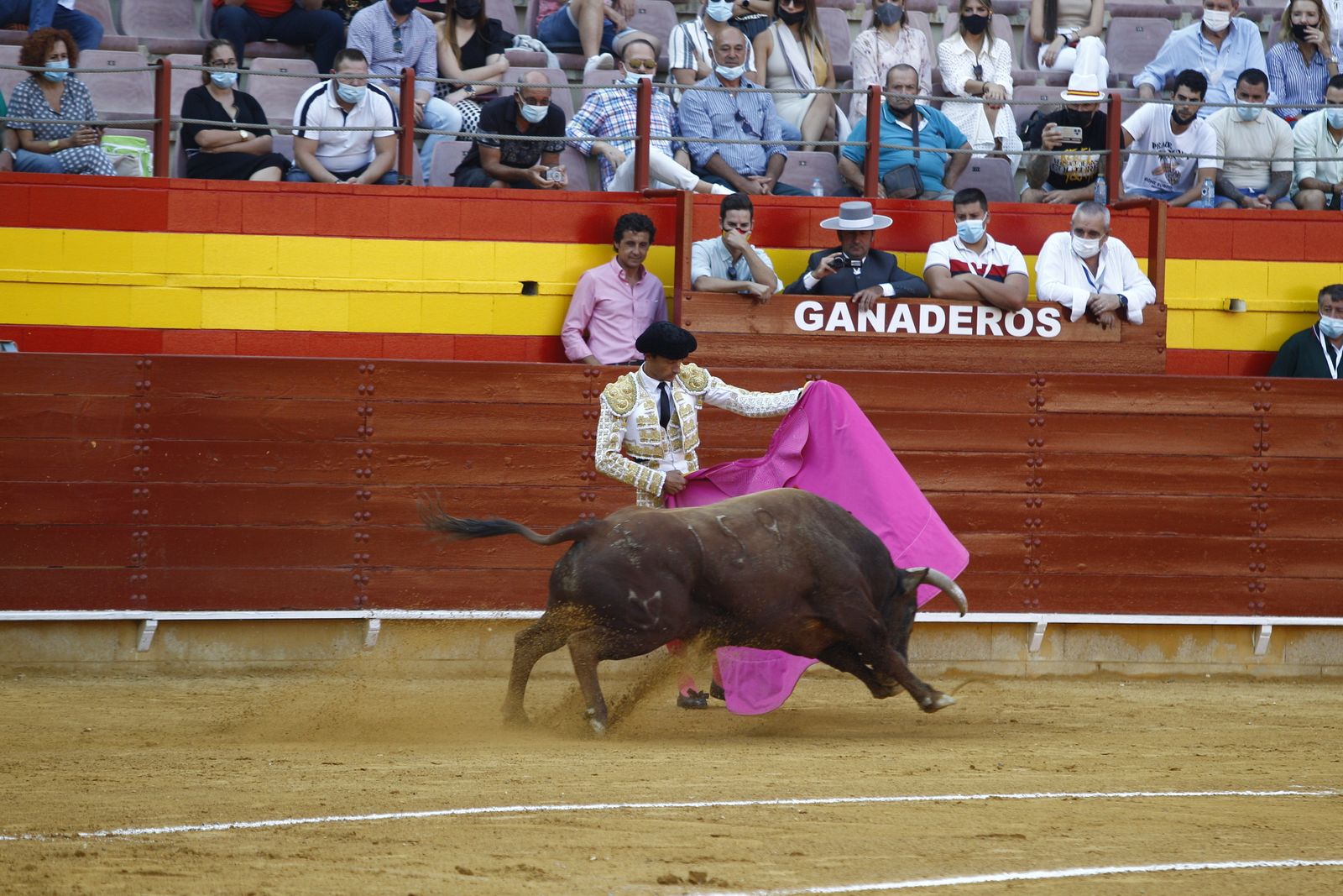 Fotogalería corrida de toros. Cayetano Rivera, Paco Ureña y Roca Rey. Roquetas de Mar.