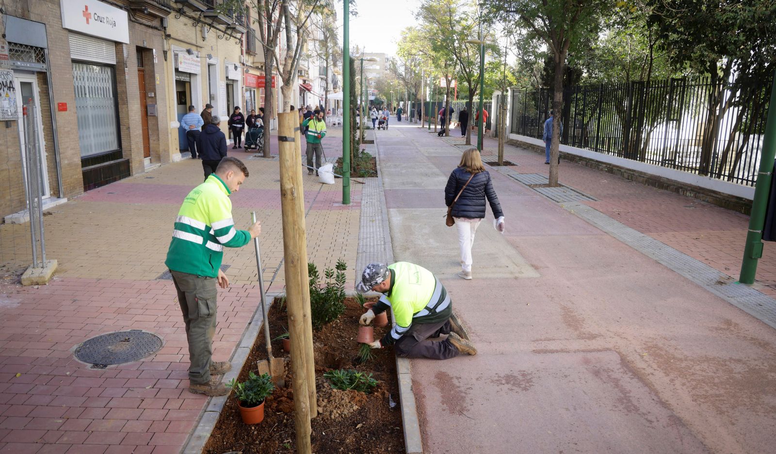 Dos operarios colocan varias macetas en la renovada avenida de la Cruz Roja.