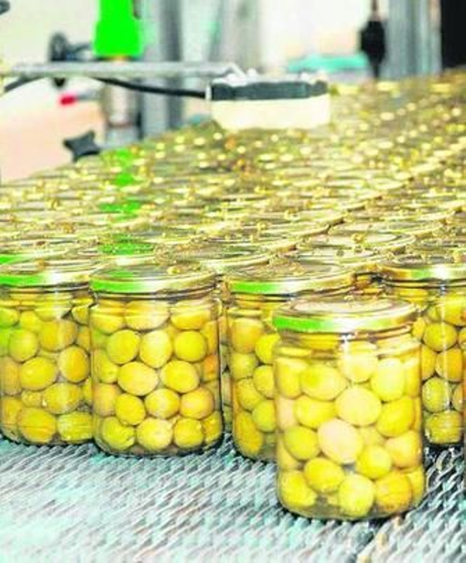 Aceituna de mesa embotellada en una fábrica andaluza.