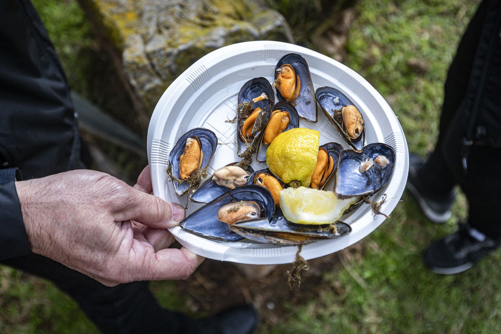 Las imágenes de la mejillonada popular en Cádiz 2026
