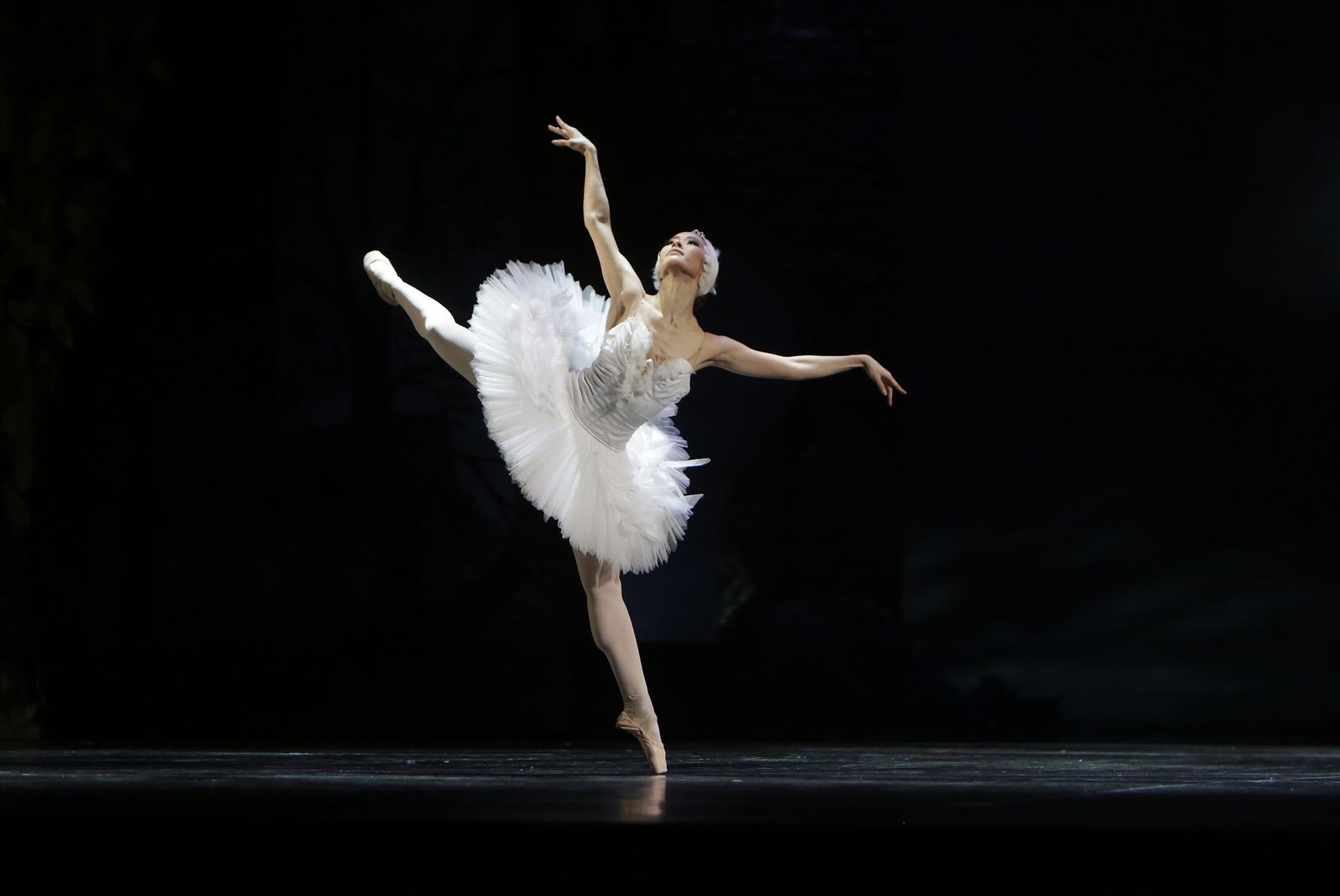 EL LAGO DE LOS CISNES