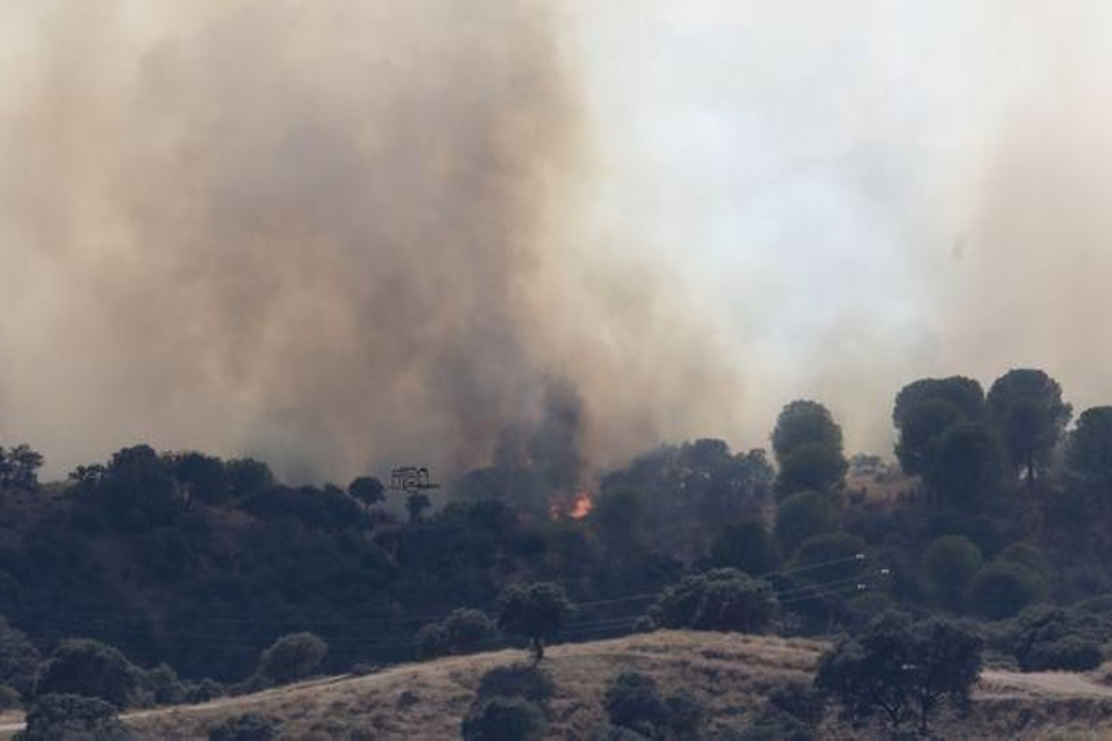 Así es el trabajo de los bomberos y equipos de extinción en el incendio de Andújar, en imágenes