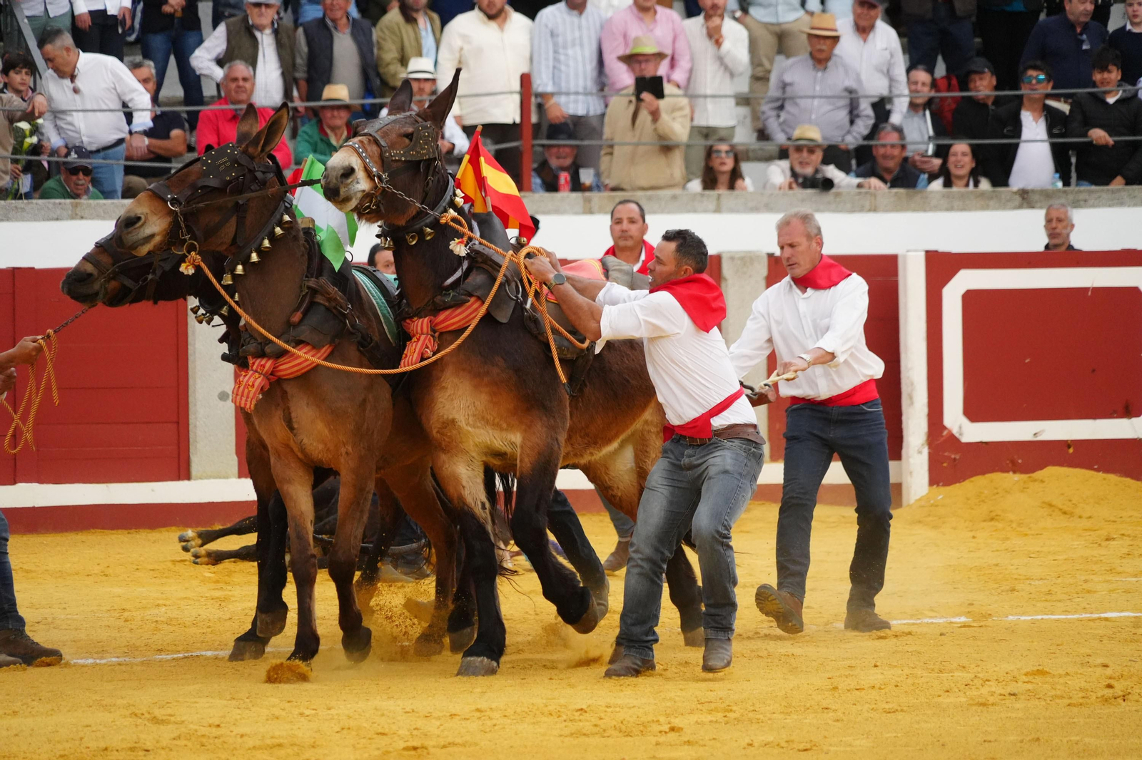 Las mejores imágenes de Manuel Morán, El Fandi y Daniel Luque en Pozoblanco