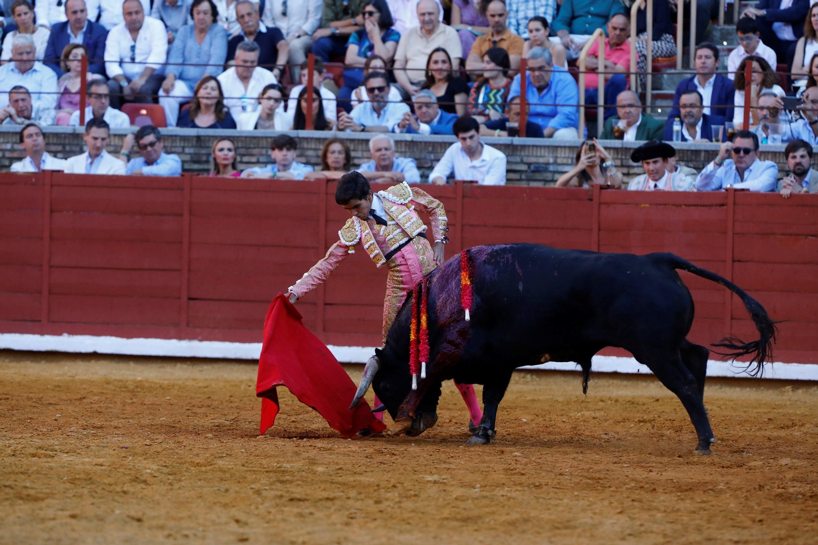 La presentación del novillero Manuel Román en Córdoba, en imágenes