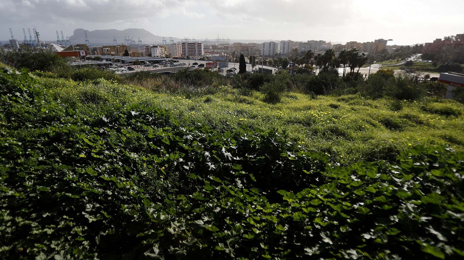 Las mejores fotos de hoy , viernes 22 de enero, en Algeciras