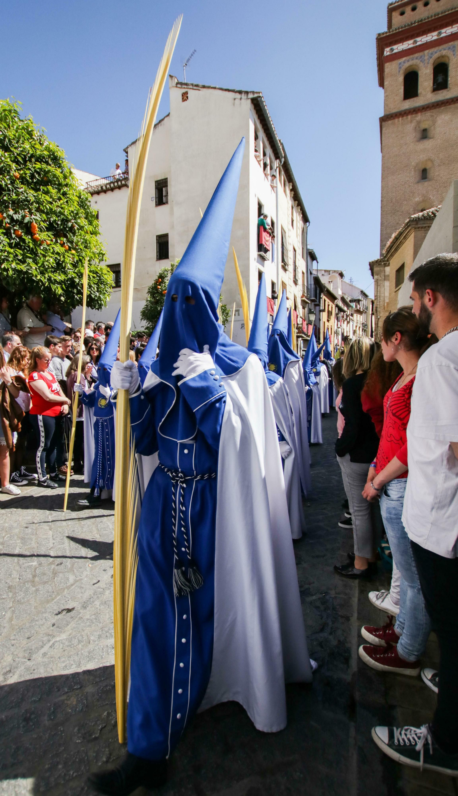 Galería de fotos de La Borriquilla en un soleado Domingo de Ramos