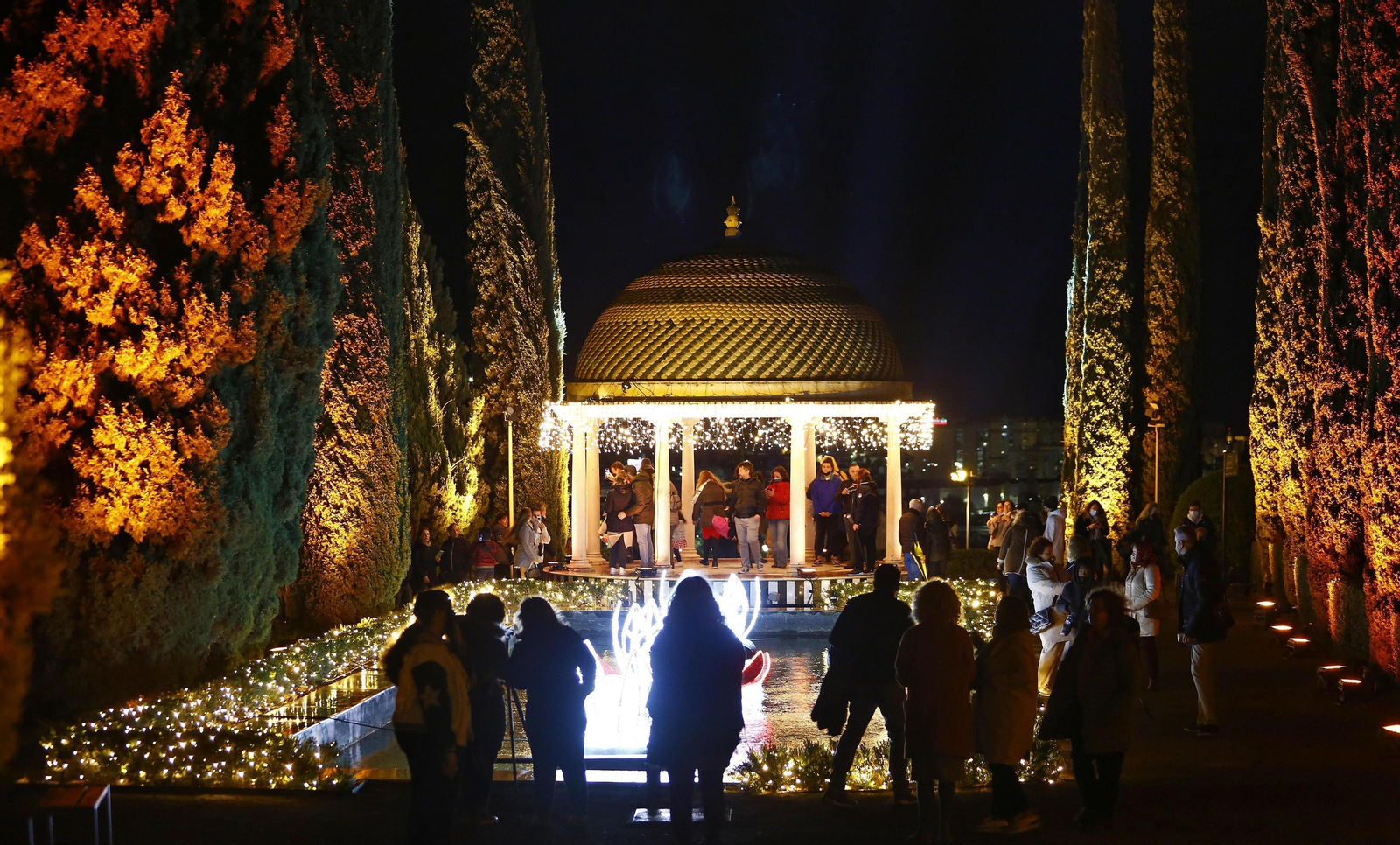 Las luces del Jardín Botánico de Málaga, en fotos