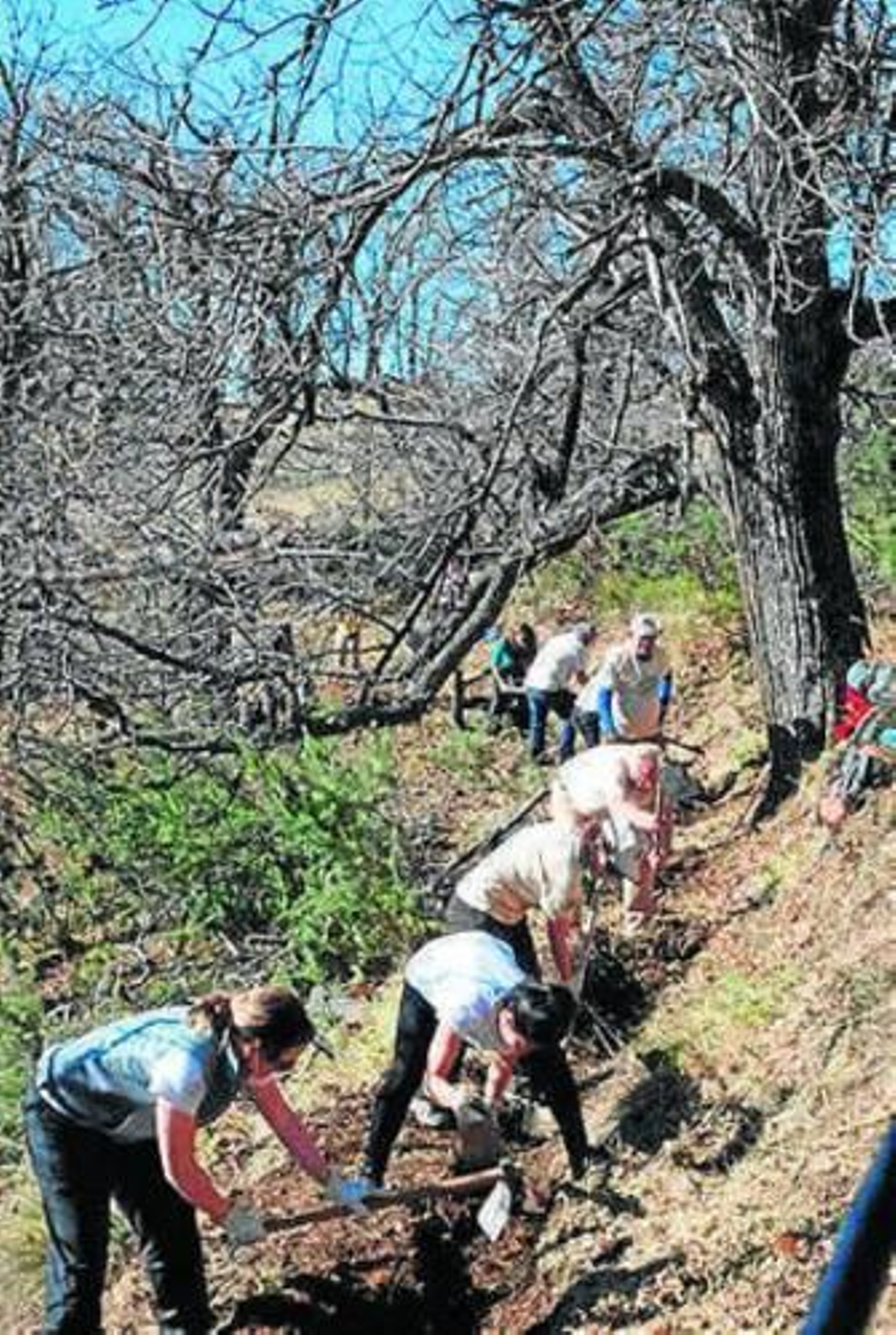 Se han utilizado técnicas tradicionales.