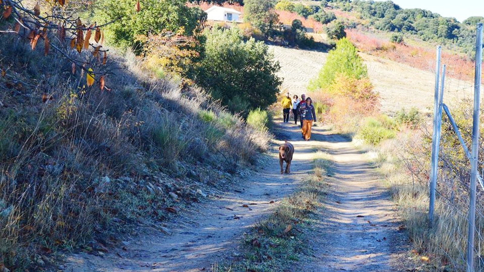 El senderismo consciente es una de las actividades en contacto directo con la naturaleza que propone Yoga Jaén para su retiro en Torres.